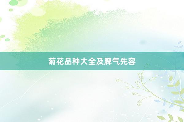 菊花品种大全及脾气先容