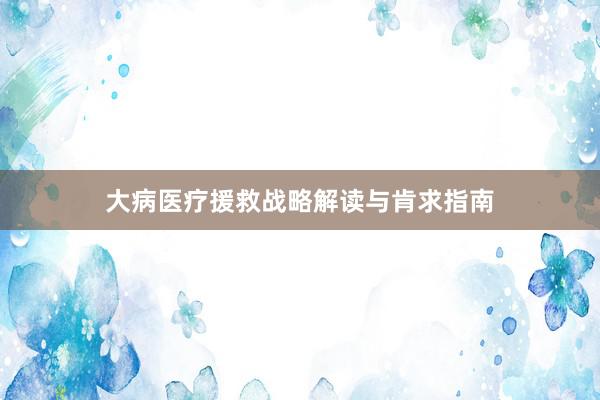 大病医疗援救战略解读与肯求指南