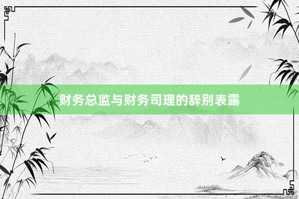 财务总监与财务司理的辞别表露